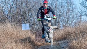 Sport in bici con i cani