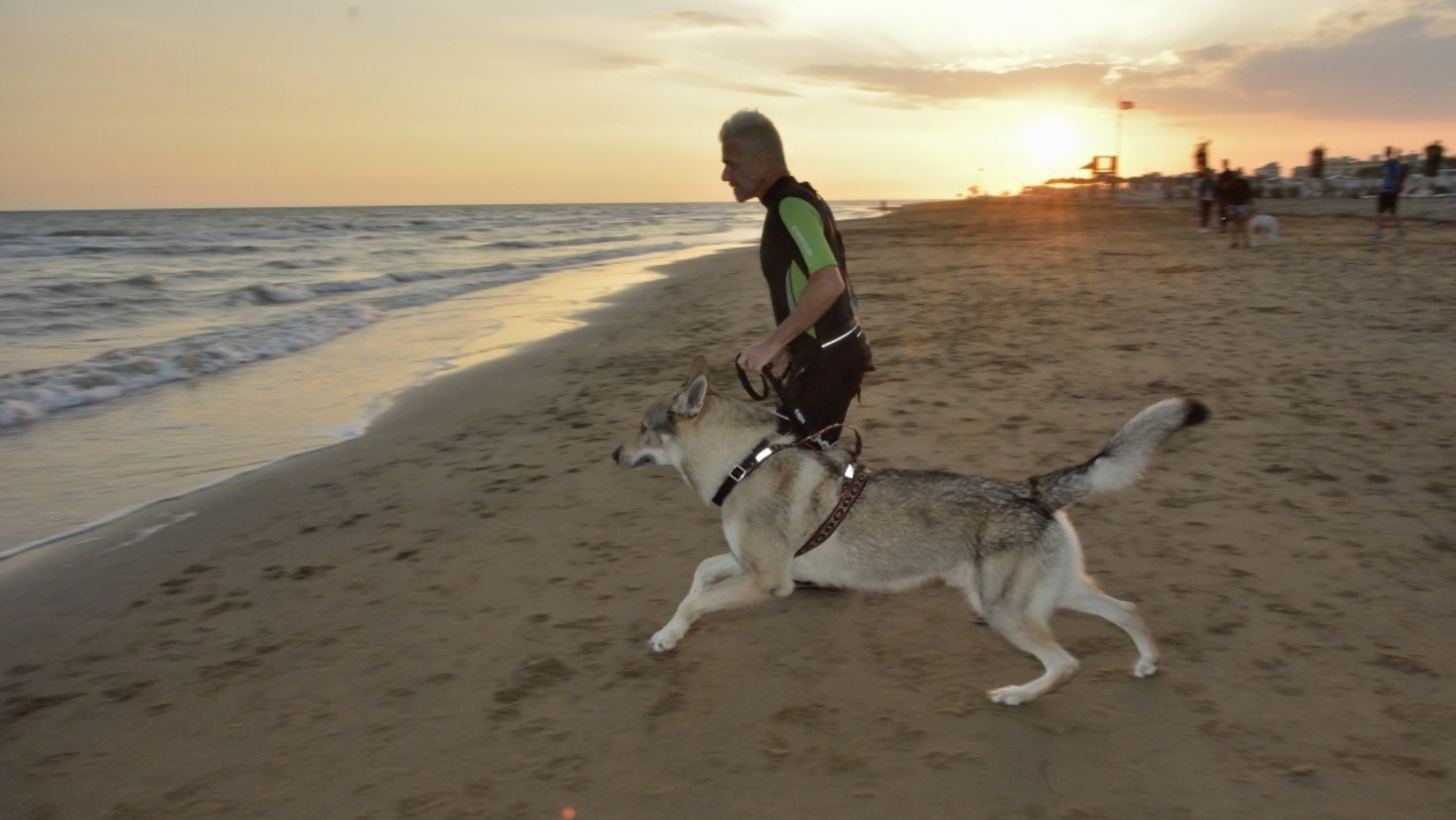 Nuotare, pedalare e correre col cane: il Dog Triathlon